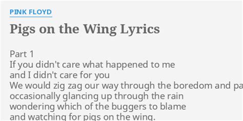 Pigs On The Wing Lyrics By Pink Floyd Part If You