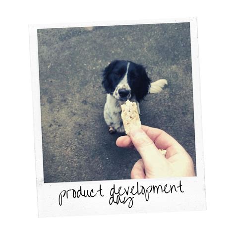 The Pet Bakery - Handmade, artisan, 100% natural pet treats