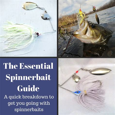 The Essential Spinnerbait Guide