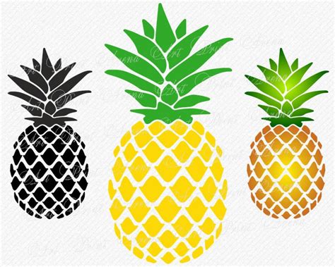 Pineapple SVG Pineapple Monogram SVG Files Svg Cricut Cut Etsy