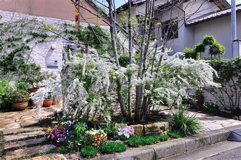 庭に彩りを添える、花咲く低木 「風景」をつくるガーデニング術