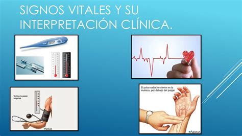 Signos vitales y su interpretación clínica 1 Rocio Saucedo uDocz