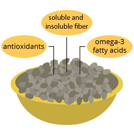 The Essential Guide to Omega-3 Nuts – Calgee