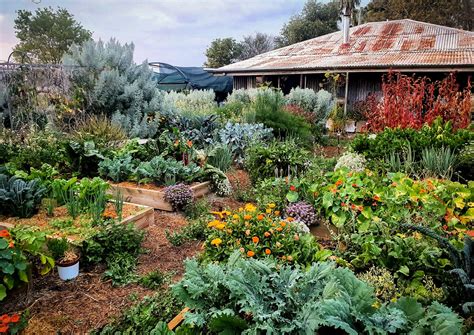 Permaculture Design Principle 10 Use And Value Diversity