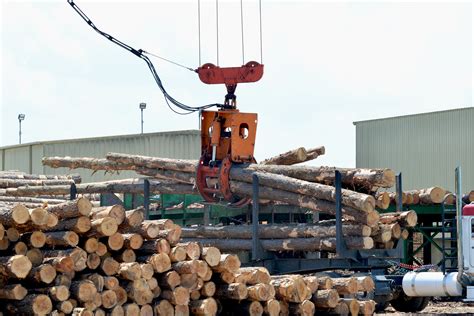 How The Logging Business Can Work With Agriculture To Benefit Mankind