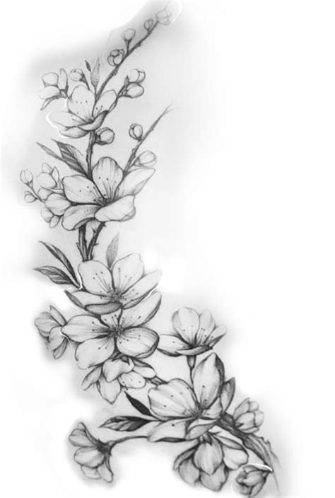 A Drawing Of Flowers On A White Background