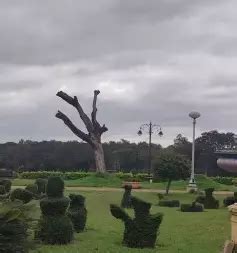 Brindavan Gardens in Mysuru, History, Light and Sound Show, Timings