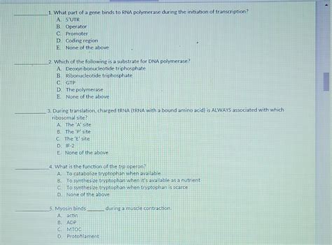 Solved 1. What part of a gene binds to RNA polymerase during | Chegg.com