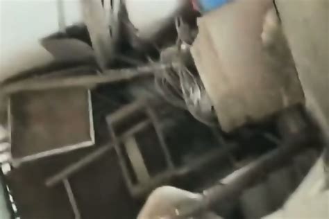 Amateur Asians Daddy Webcam