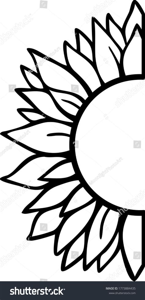 3,307 Half sunflower Images, Stock Photos & Vectors | Shutterstock