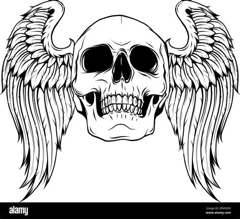 Skull Wings Silhouette Outline Drawing Vector Illustration Stock Vector