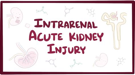 Renal Azotemia Video Anatomy Definition Function Osmosis