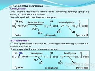 Amino acid metabolism 1.pdf | Free Download