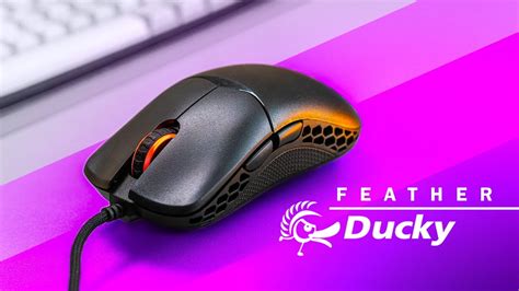 Ducky Feather Review - A DIFFERENT Gaming Mouse!
