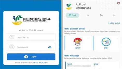 Masih Belum Menerima Bansos 2024 Cek Panduan Lengkap Pendaftaran KPM