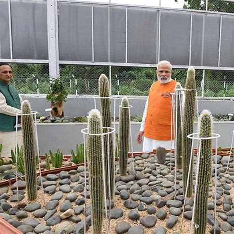 Cactus Garden Statue Of Unity Guide Sardar Vallabhbhai Patel Statue