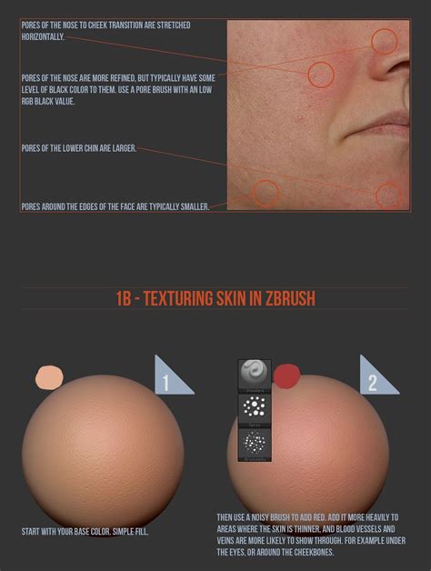 Female Portrait Page Zbrush Tutorial Zbrush Sculpting Tutorials