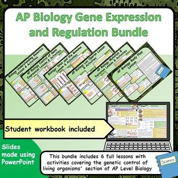 AP Biology Unit 6 Gene Expression And Regulation Bundle TPT