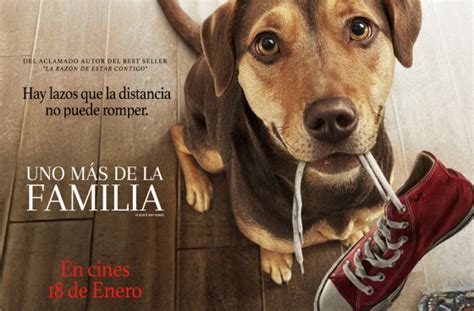 Disfruta En Cines De Uno M S De La Familia El Pa S El Pa S