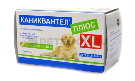 Таблетки от глистов для собак: классификация и применение