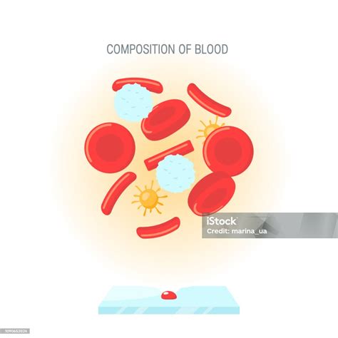 血液概念的構成 平的向量例證向量圖形及更多信息圖形圖片 信息圖形 健保和醫療 分析 Istock