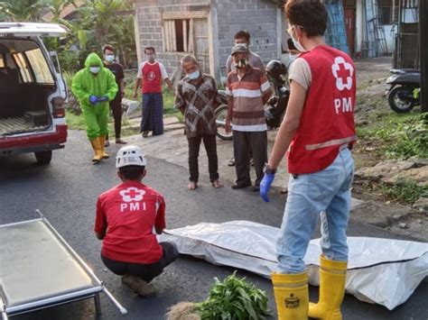 Penyebab Warga Kulon Progo Ini Meninggal Di Pinggir Jalan Tagar