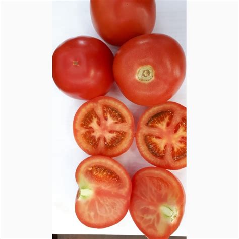 Продам/купить тепличные Розовые Помидоры с Комбината Оптом, Республика ...
