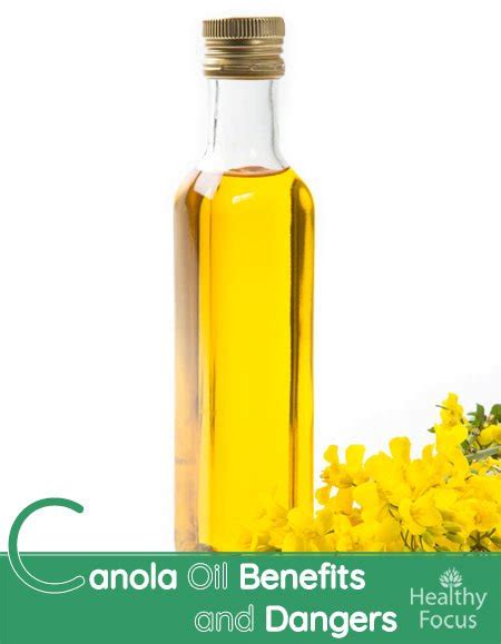 Canola Oil Benefits And Dangers Healthy Focus