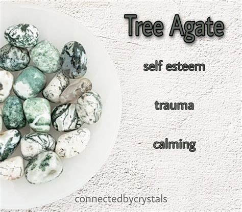 Tree Agate Meaning | ubicaciondepersonas.cdmx.gob.mx