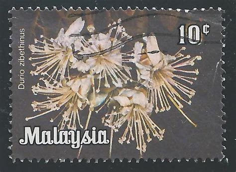 Malaysia 194 10c Flowers Durio Zibethinus HipStamp