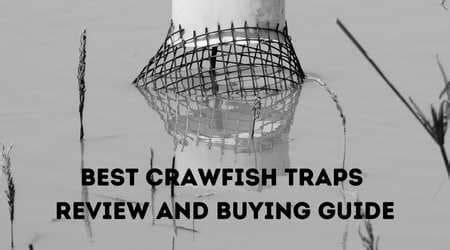 Best Crawfish Traps Review and Buying Guide For 2023