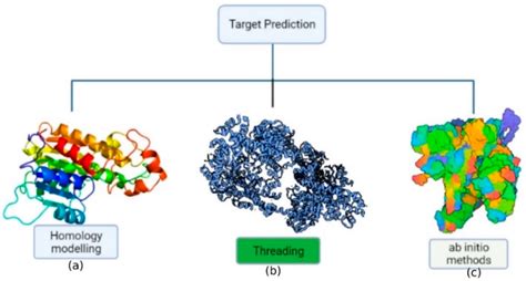 Molecules Free Full Text Application Of Mathematical Modeling And