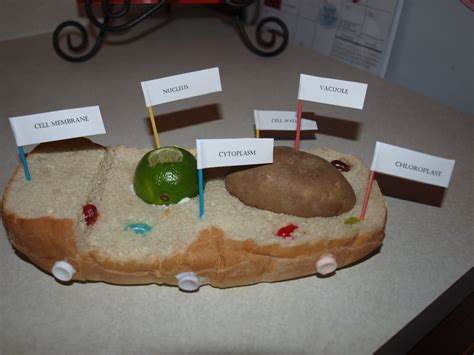 The Good Gang: Megan's Plant Cell Project