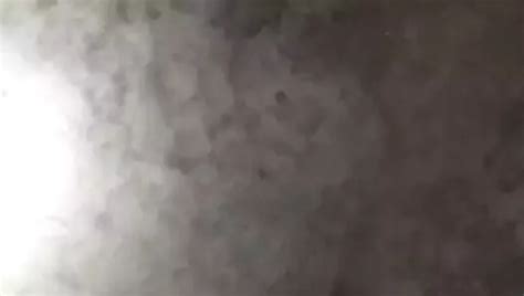 Free Indian Uncut Cock Gay Porn Videos XHamster