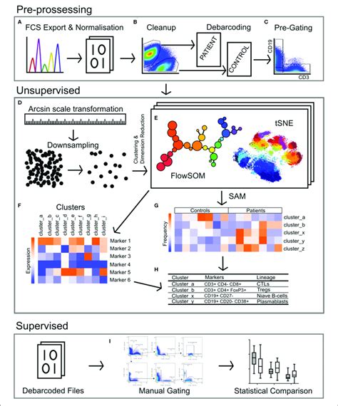 Pipeline For The Analysis Of Mass Cytometry Data A Raw Files Download Scientific Diagram