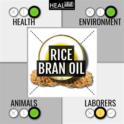 Rice Bran Oil Benefits + Side Effects