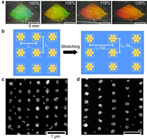 Macroscopic Strain Induced Lattice Deformations A Gradual Color