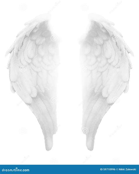 White Angel Wings Side View