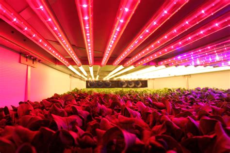 Inside Aerofarms The World S Largest Vertical Farm Business Insider