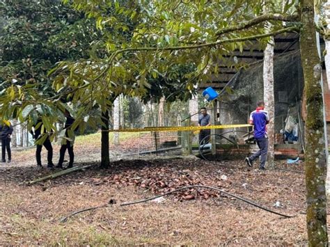 Lelaki Warga Asing Ditemui Maut Di Kebun Durian Mg Perak