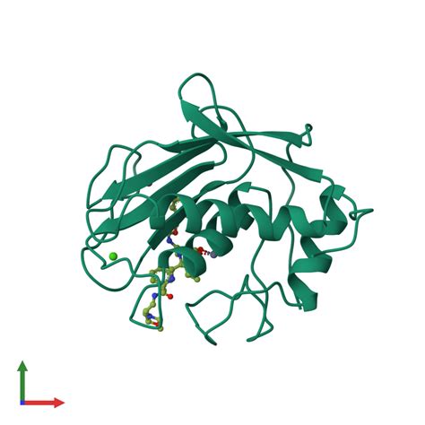 Pdb Cgl Gallery Protein Data Bank In Europe Pdbe Embl Ebi