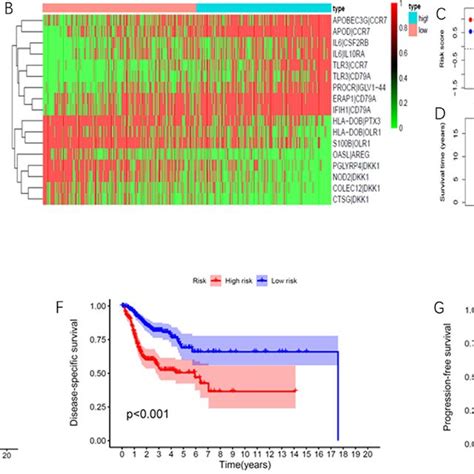 Construction Of Irgps Model For Hnscc Patients A Time Dependent Roc