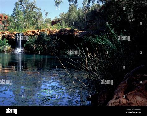 Fortescue Falls Hamersley Gorge Karijini National Park Pilbara