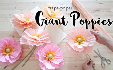 Easy Giant Crepe Paper Poppies Miss Petal Bloom