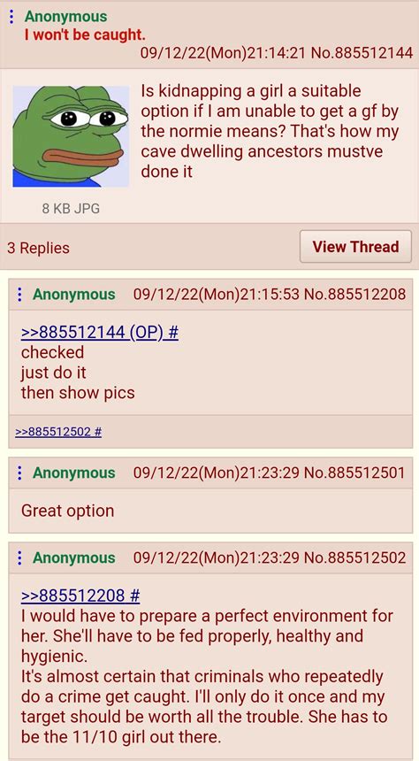 Anon Imageboards: A Bold Prediction for the Next 5 Years - ah27dzi