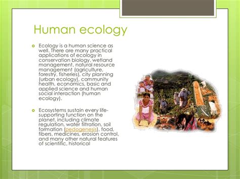 Ecology and human ecology