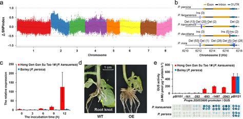 Identification Of Nematode Resistance Genes In P Kansuensis A Bulked