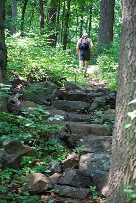 Baldpate Mountain IBA - Washington Crossing Audubon Society website