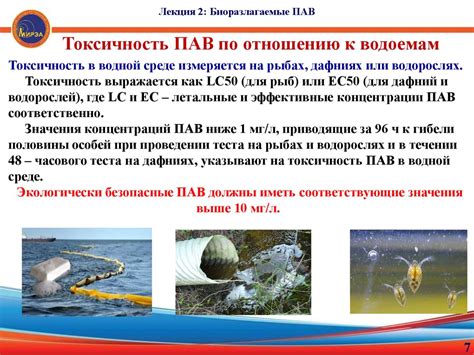 Биоразлагаемые ПАВ. Лекция 2 - презентация онлайн