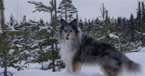 Yana Freyja och Lexus Så återvänder jag till vad bloggen ska handla om